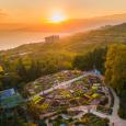 На Южном берегу Крыма цветут изящные водяные лилии: 5 атмосферных фото из Никитского сада